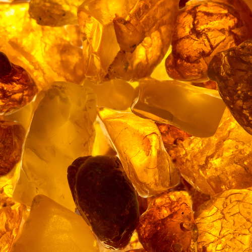 Amber Fragrances