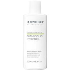 La Biosthetique Methode Normalisante Shampoo for Scalp Perspiration 250ml
